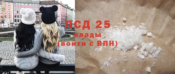 спиды Ельня